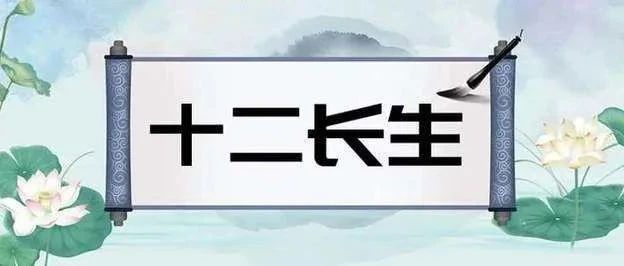 八字天干十二长生与地支十二长生的区别用法