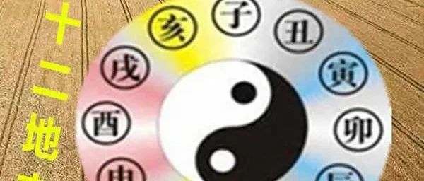 四柱八字十二地支代表的人象