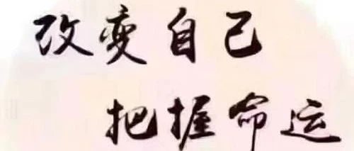 八字分析之有情与无情