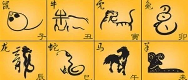 八字地支刑冲合害产生的象和意秘诀