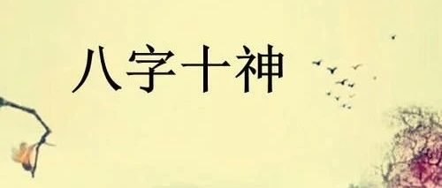 八字十神各自有什么特点