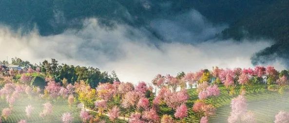 三十条八字推命实用技巧