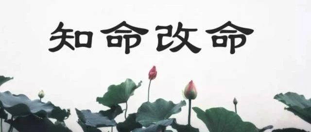 八字提升运气，改善命运最好的方法有哪些？
