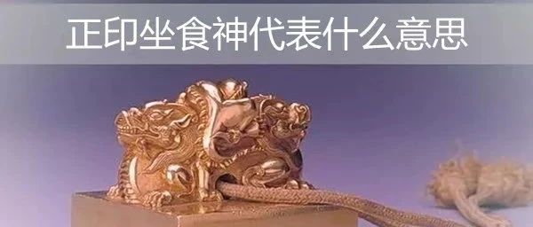 八字正印坐食神代表什么意思