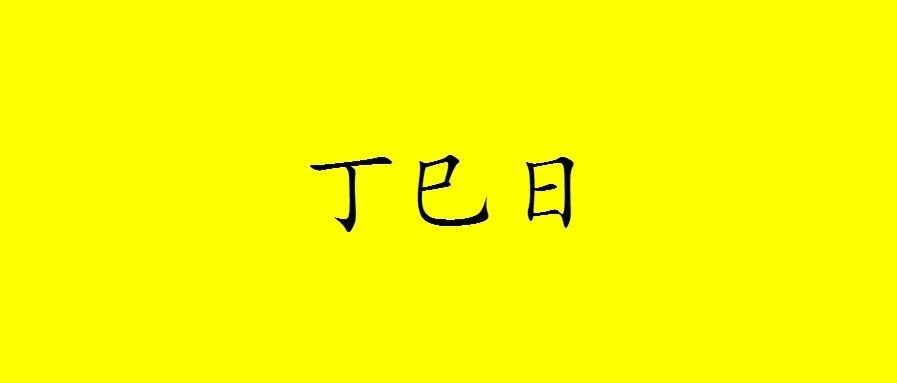 八字丁巳日出生的人性格与命运解析