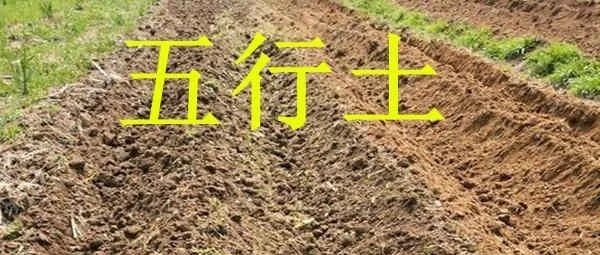 八字中的五行土该如何理解