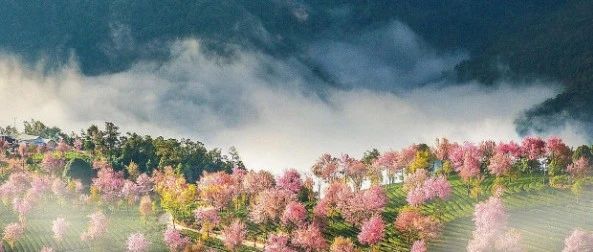 八字十神组合看你最适合的职业选择是什么