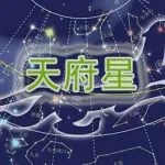 紫微斗数天府星深入分析