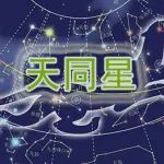 紫微斗数天同星深入分析