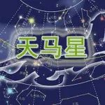 紫微斗数天马星，禄马交驰，折鞭马、扶与马，负尸马，战马，死马，折足马，雄马等