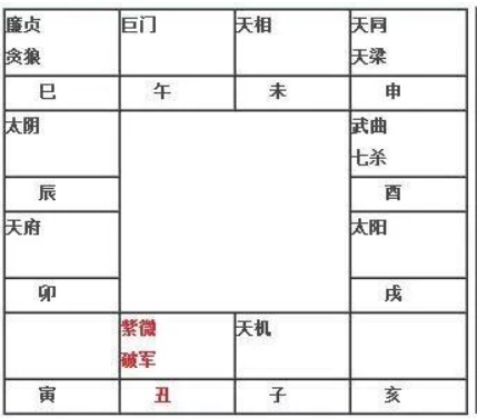 紫微斗数案例紫微星在丑宫、寅宫