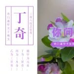 奇门遁甲干支基础之三奇六仪类像拆解（丁奇篇）