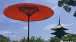 奇门遁甲学习：九星中的“天蓬星”的真正含义解析！