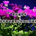深度学好奇门遁甲让你知己知彼抢占先机？