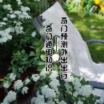 奇门遁甲预测外出出行