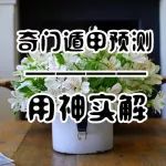 奇门遁甲预测选取用神实解精论！