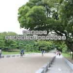 奇门遁甲星门神正确风水判断方法