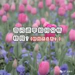 奇门遁甲如何分析格局？格局怎么看？