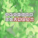 奇门遁甲手机号码倒数第五位—八神的含义