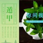 奇门遁甲干支基础之三奇六仪类像拆解（遁甲篇）