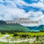 奇门遁甲预测中用神与引干的逻辑及妙用点窍