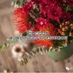 奇门遁甲三奇六仪与12地支刑冲合害的学习心得