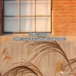 奇门遁甲预测现代经济的方向分析